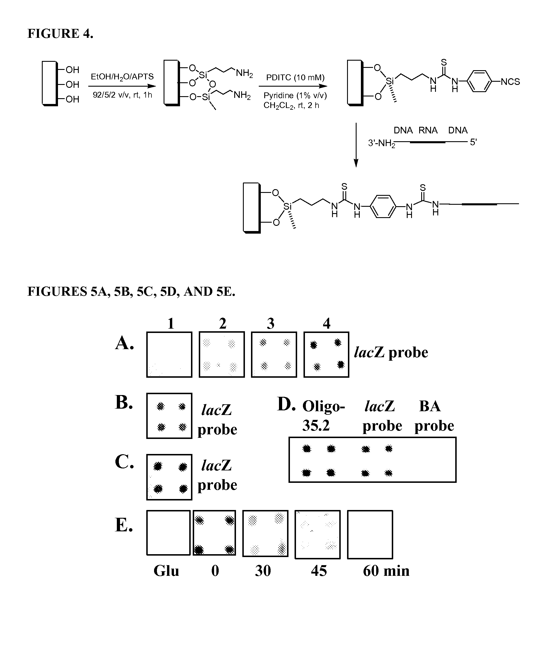 RNA Microchip Detection Using Nanoparticle-Assisted Signal Amplification