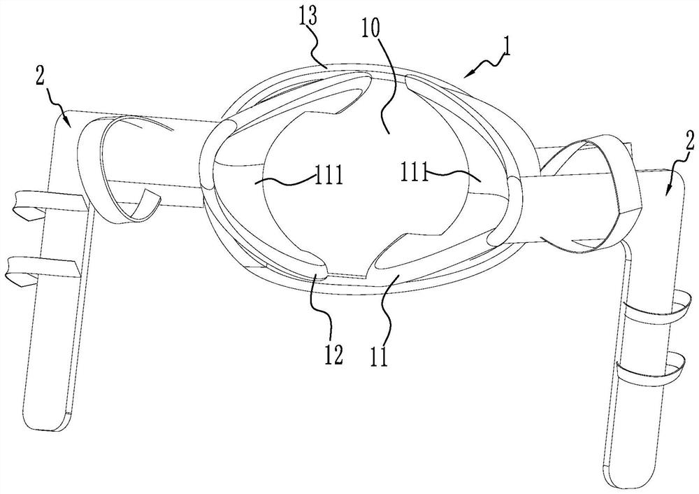 Double-side fixing type upper limb supporting assistive device and supporting method