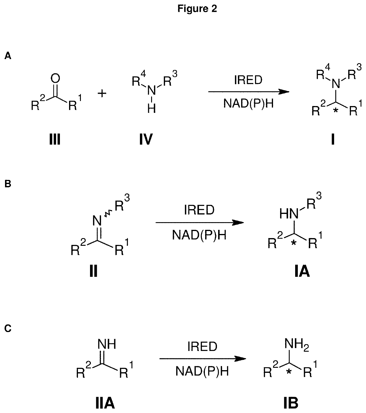 Method for preparation of primary amine compounds