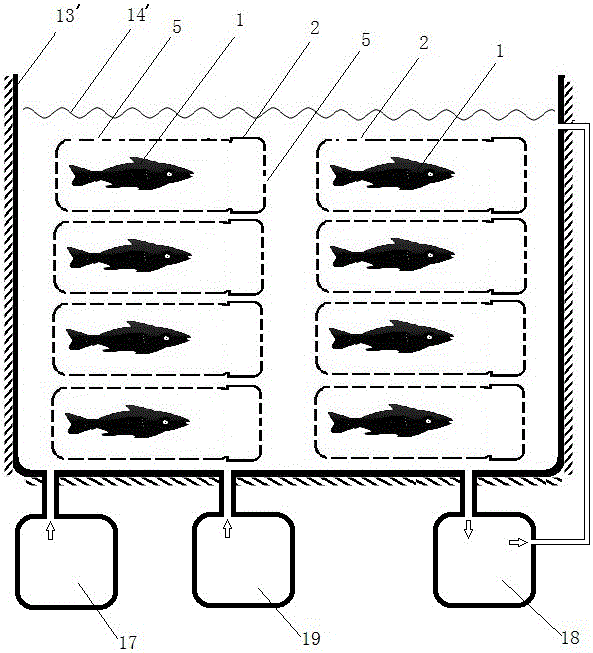 Deodorizing and detoxifying fish cultivating method