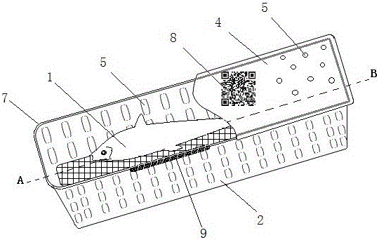 Deodorizing and detoxifying fish cultivating method