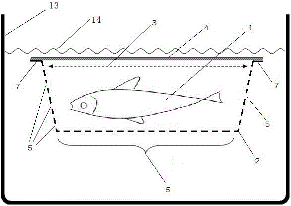 Deodorizing and detoxifying fish cultivating method