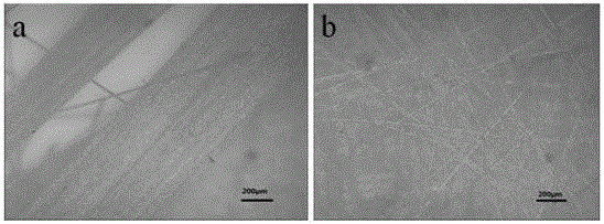 Preparation method of three-dimensional nitrogen-doped carbon fibers