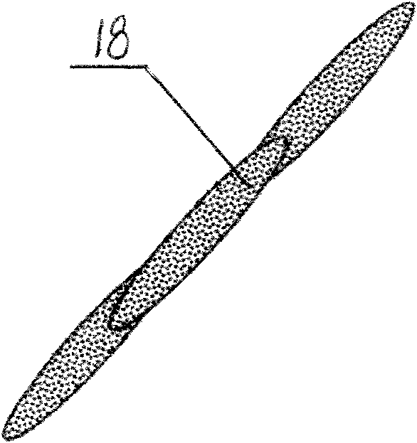 Diaphragm resin coating device and processing method