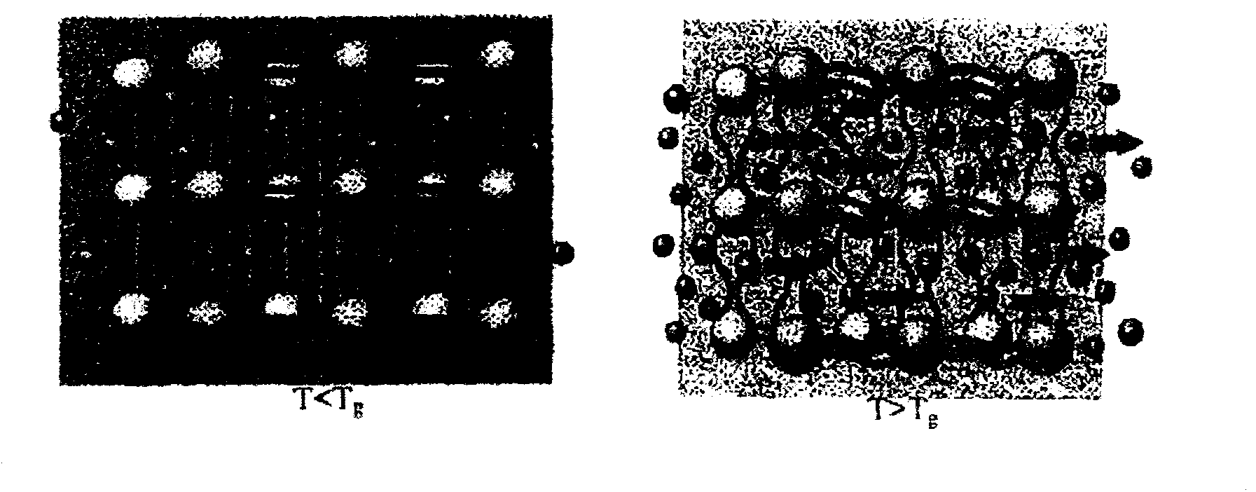 Antibacterial, waterproof and moisture permeable type composite functional material and preparation method and application thereof