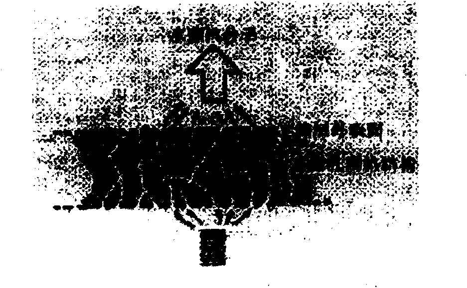 Antibacterial, waterproof and moisture permeable type composite functional material and preparation method and application thereof