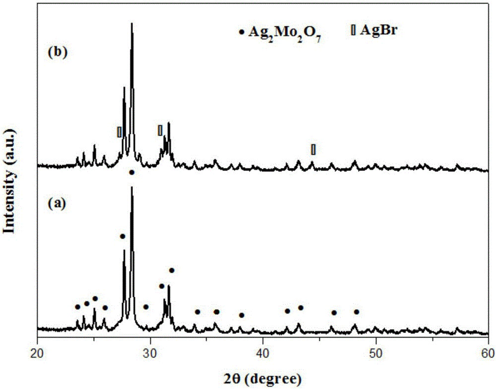 Ag2Mo2O7@AgBr composite photocatalyst and preparation method thereof