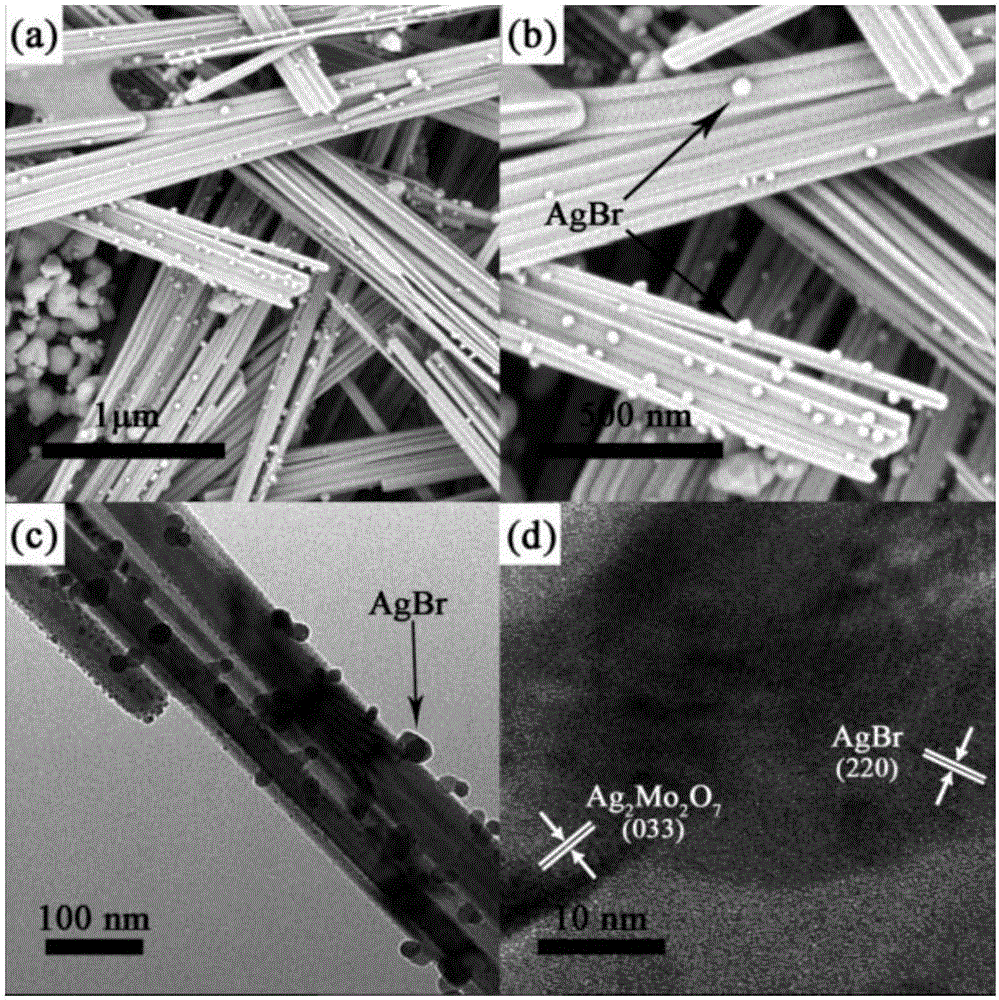 Ag2Mo2O7@AgBr composite photocatalyst and preparation method thereof