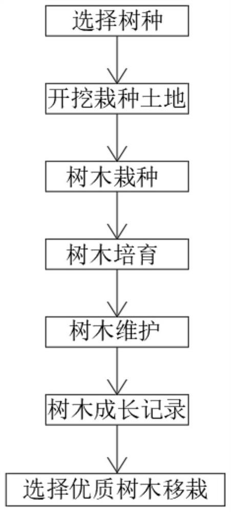 Planting method for breeding eucalyptus suitable for plateau climate