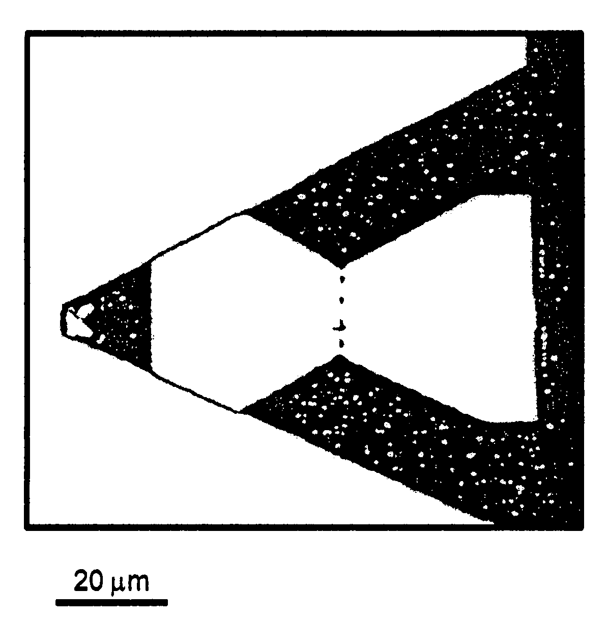 AFM cantilevers and methods for making and using same