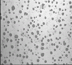 Medium silicon molybdenum nodular cast iron and production method thereof