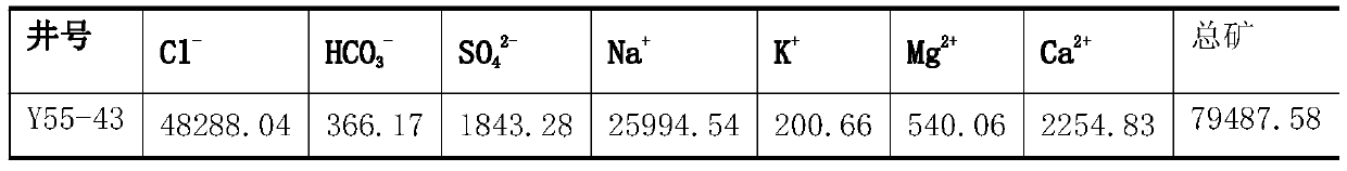 Corrosion and scale inhibitor