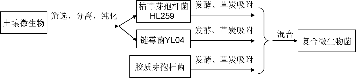 Biological control composite microbial agent, fertilizer and production method of fertilizer