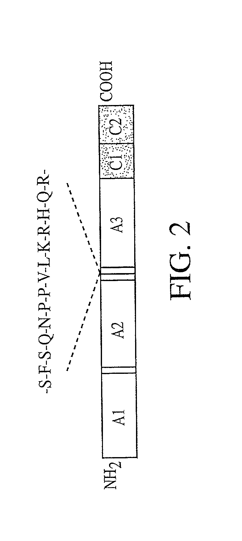 Adeno-associated vector compositions for expression of factor VIII