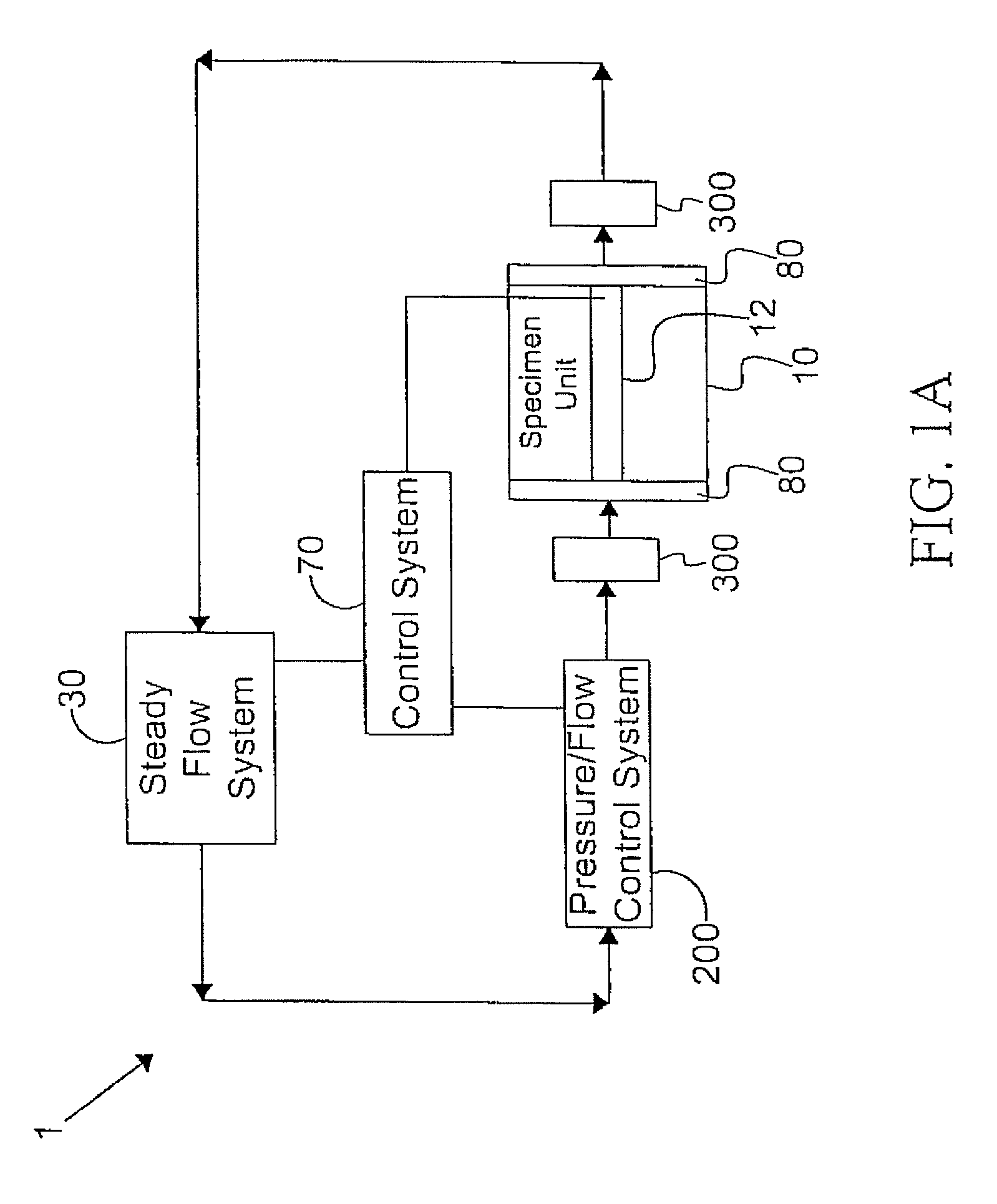 Systems and methods of promoting endothelialization of a hybrid hemodialysis access graft or a hybrid femoral artery bypass graft in a mammal