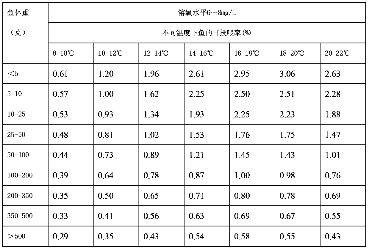 Large-scale efficient cultivation method for turbot