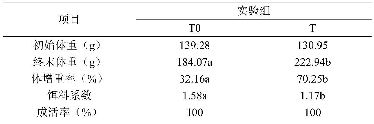 Probiotic preparation used for improving growth performance, immune performance and nutritional quality of scophthalmus maximus