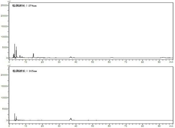 Method for detecting antibiotic residue in honey based on rapid classification extraction technology