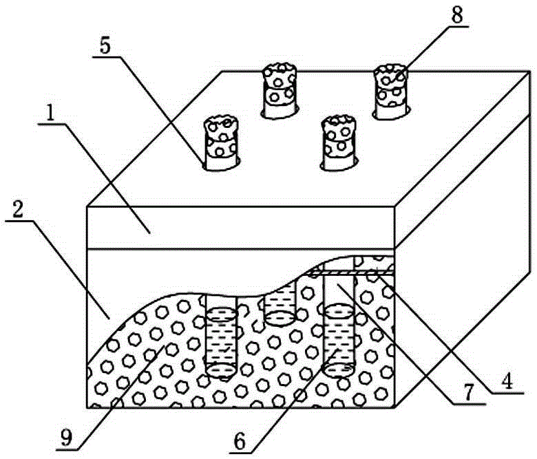 Simple incubator and method for making drosophila melanogaster ride out winter and summer by using same