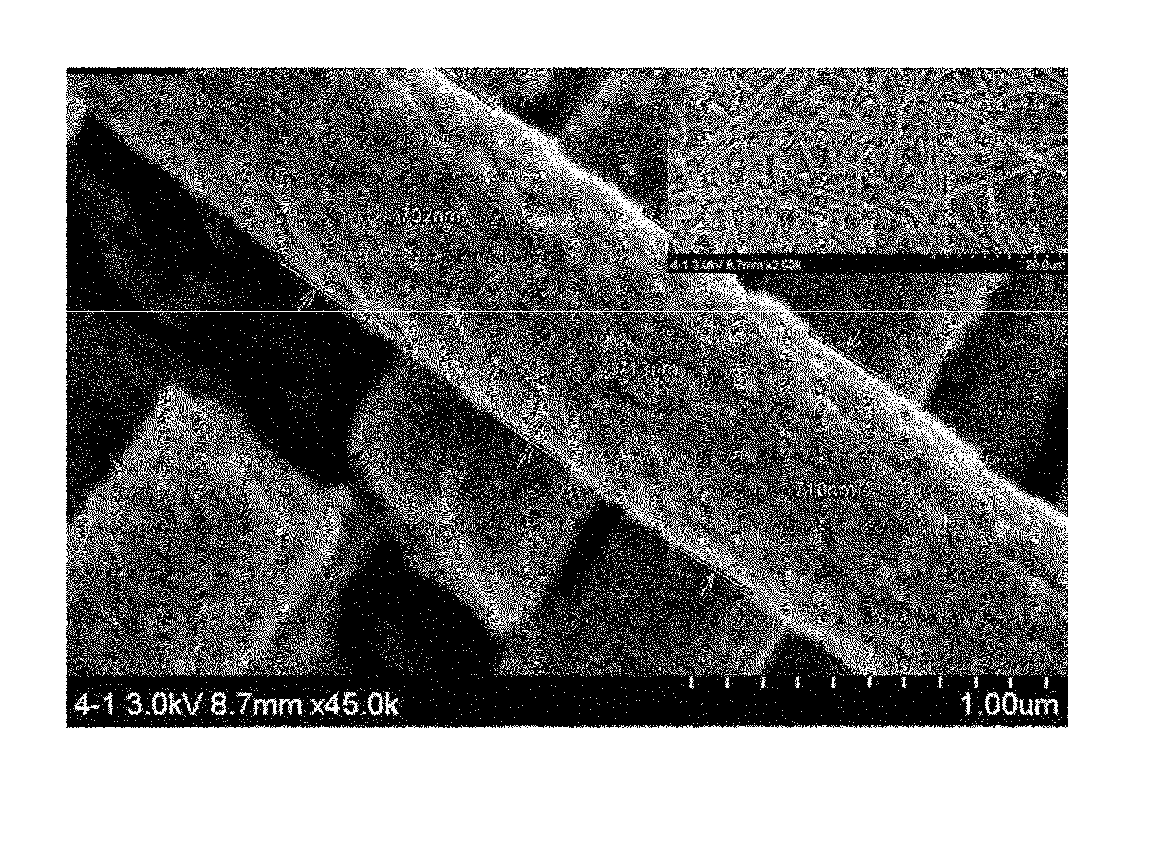 Method for preparing carbon nanofiber composite and carbon nanofiber composite prepared thereby