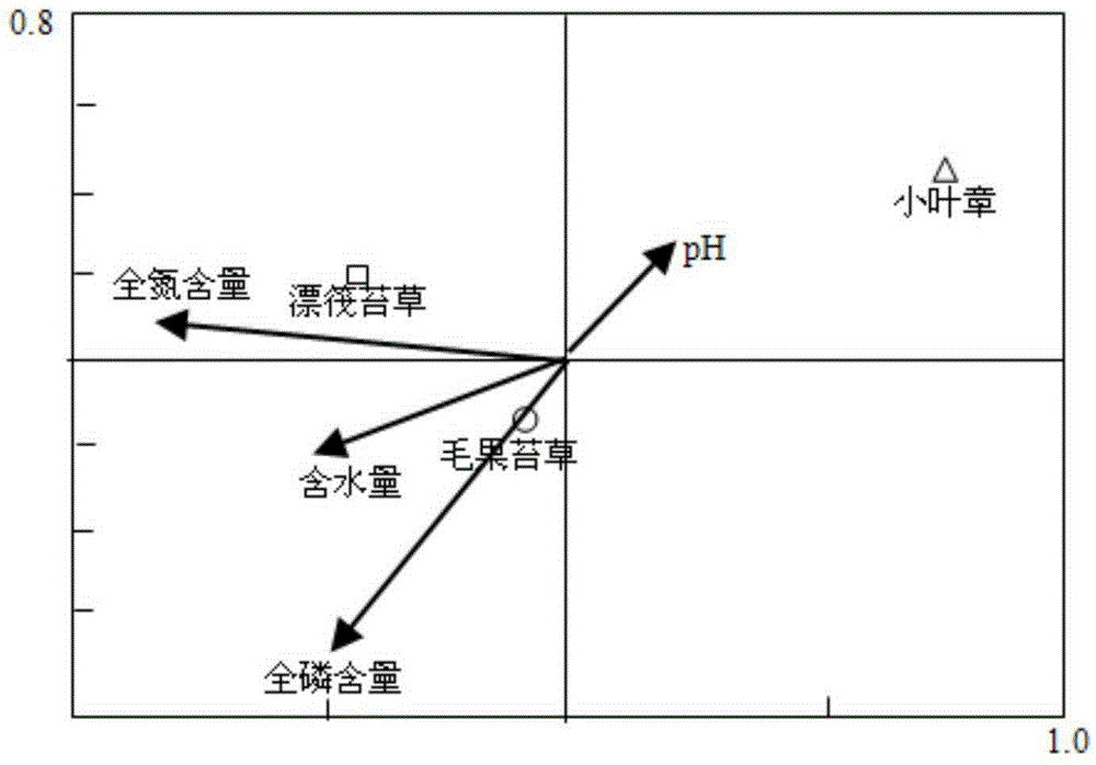 Method for determining plantation of vegetation having carbon sequestration and sink-increasing functions for natural wetland