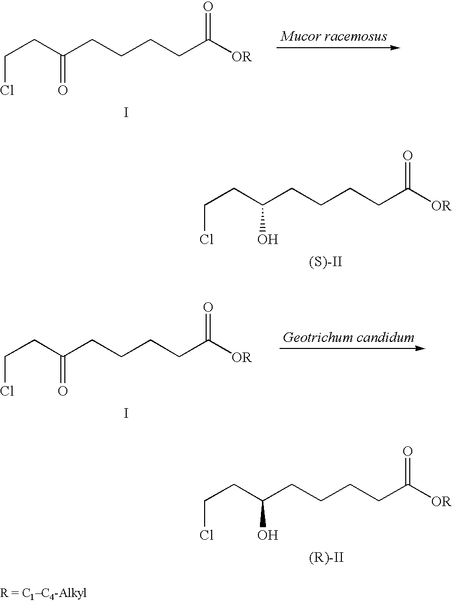 Process for the enantioselective reduction of 8-chloro-6-oxo-octanoic acid alkyl esters