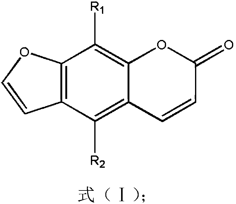 Preparation and hemostasis medical application of asiatic toddalia root extract containing rich furocoumarin