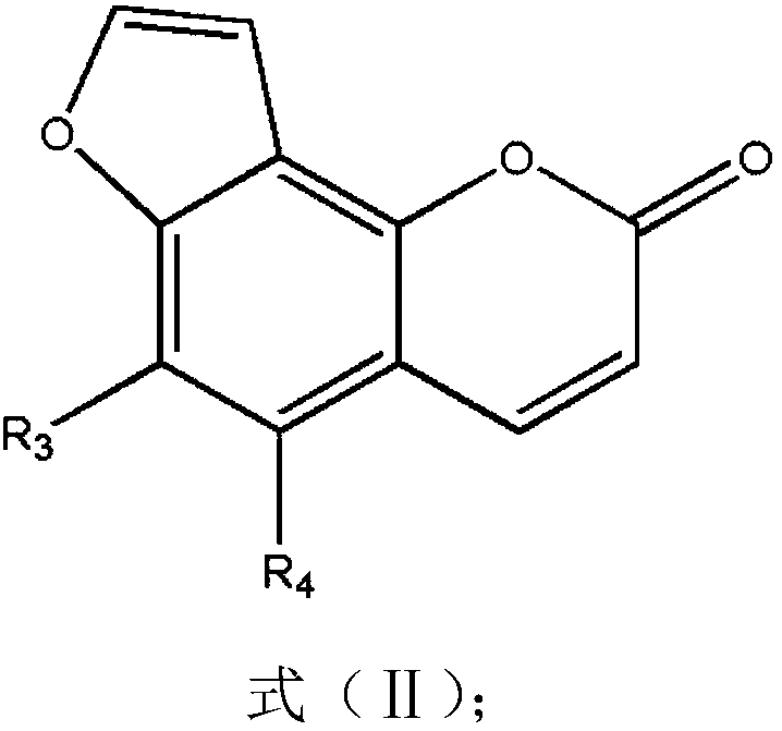 Preparation and hemostasis medical application of asiatic toddalia root extract containing rich furocoumarin