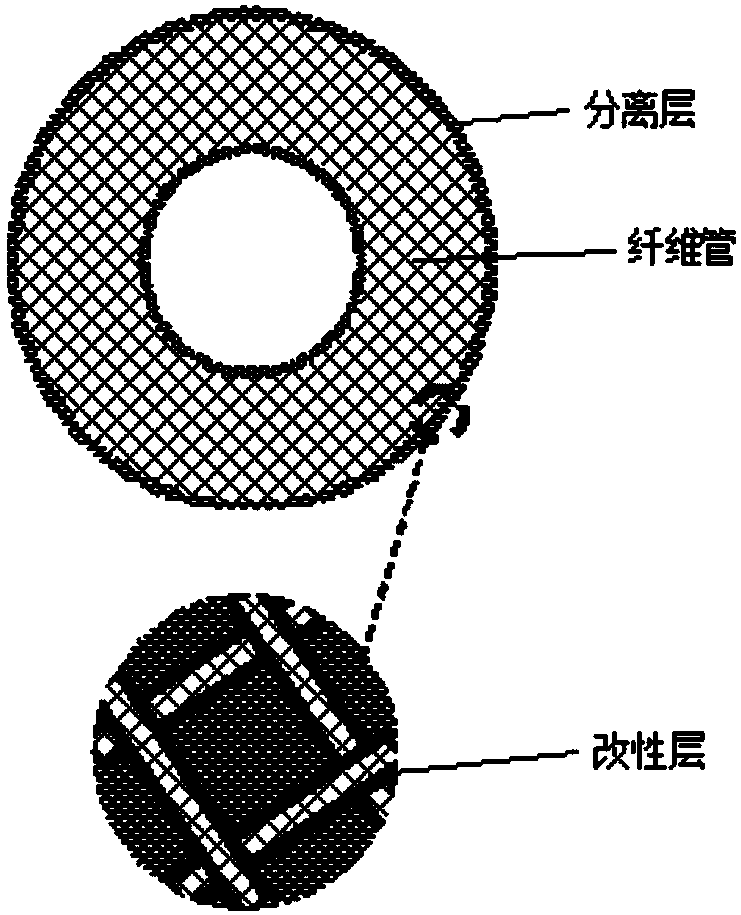 Antibacterial hollow fiber membrane, preparation method and applications thereof