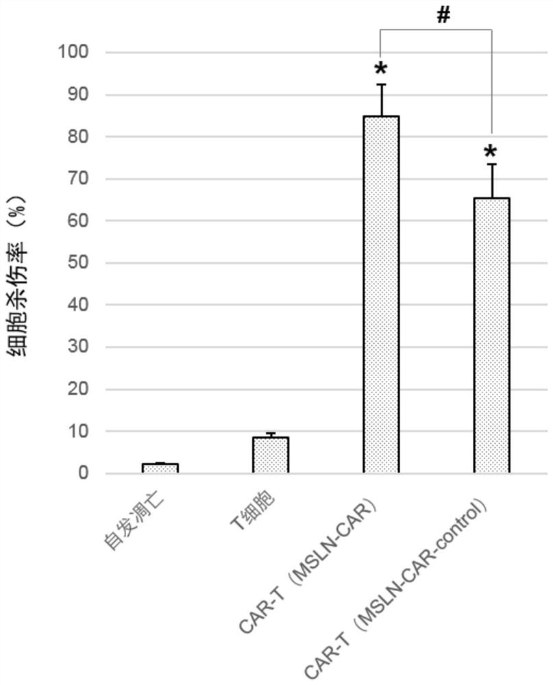 Chimeric antigen receptors targeting msln