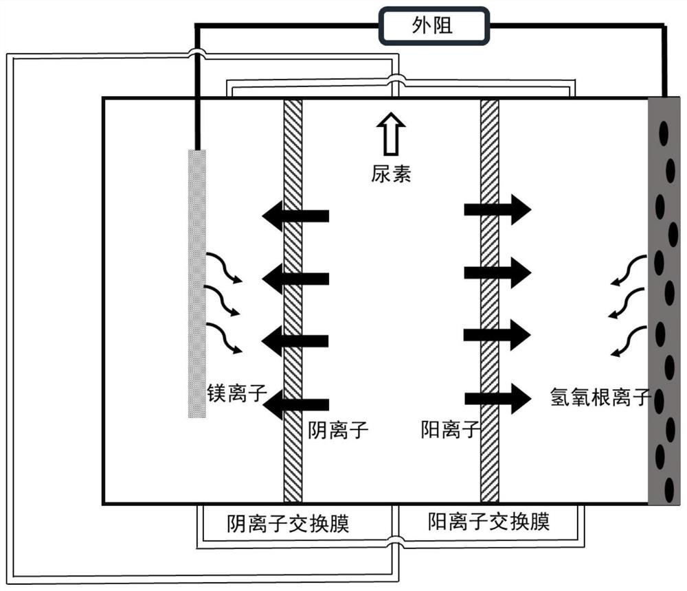 Device and method for recovering urea and simultaneously producing struvite