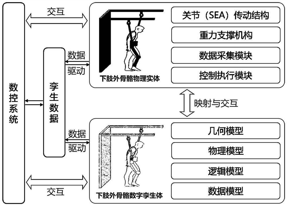 Construction method and system of flexible lower limb exoskeleton rehabilitation unit based on digital twin