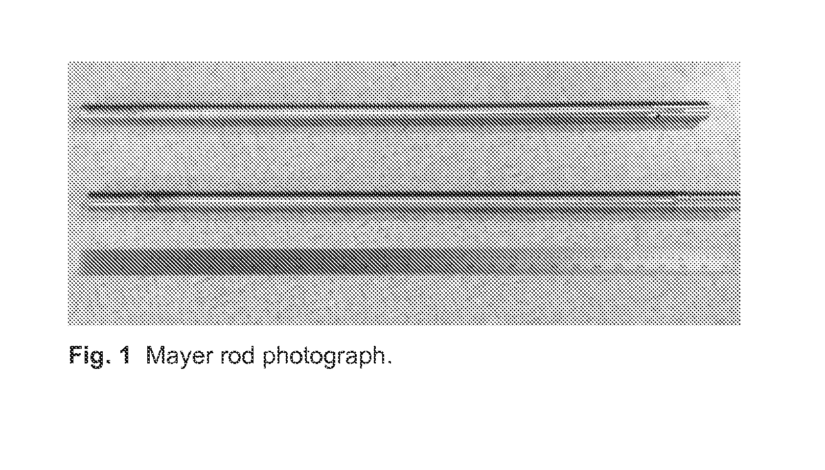 Freestanding, dimensionally stable microporous webs