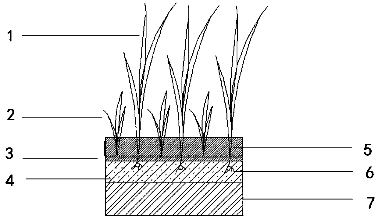 Lawn mixed planting system