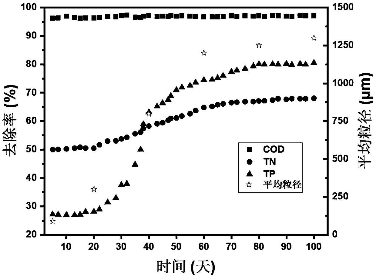 Device and method for strengthening granulation process of aerobic sludge