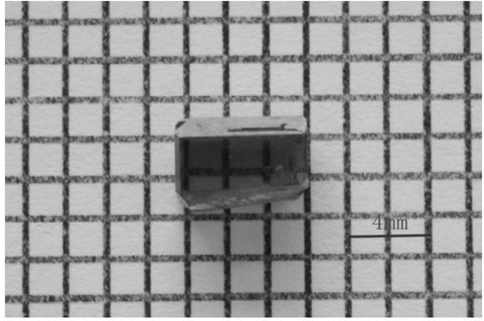 Methylamine halogenated plumbate compound large-size crystal growth method and device