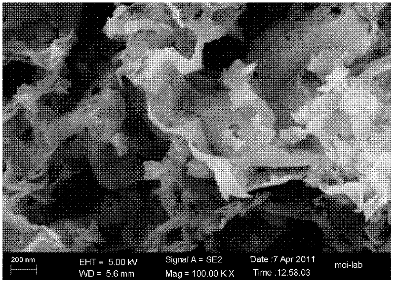 Preparation method of visible light catalyst