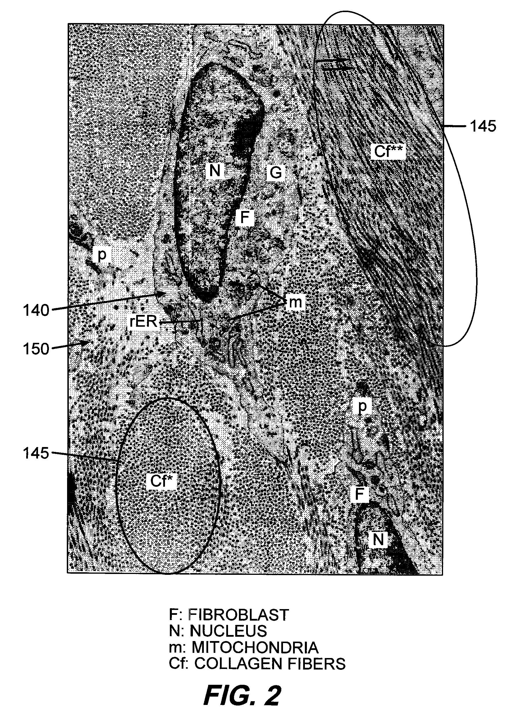 Device for optically stimulating collagen formation in tissue