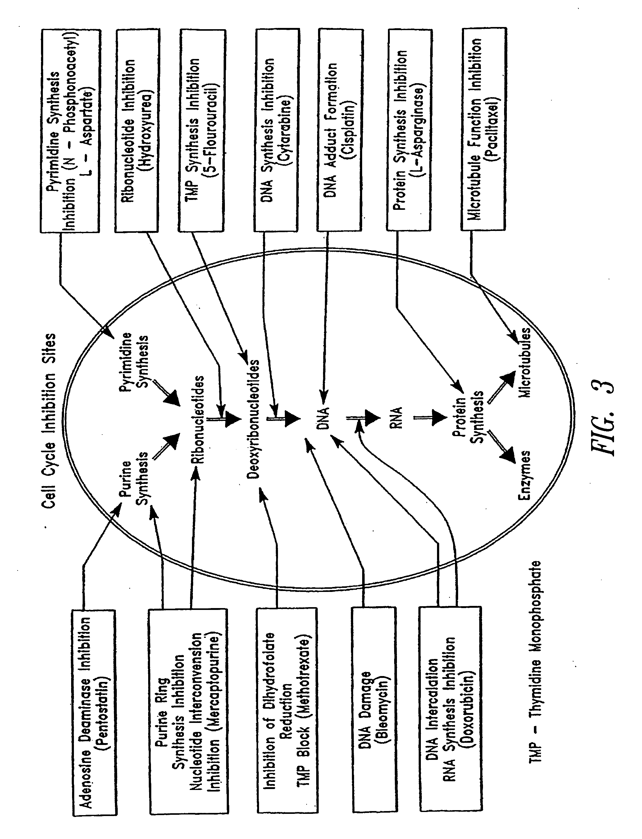 Drug delivery from rapid gelling polymer composition