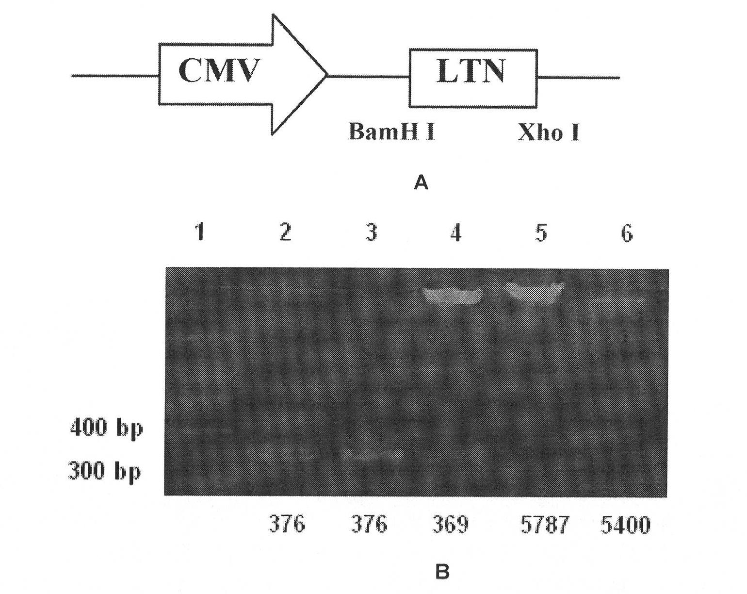 Mucosal adjuvant and its preparation method and use