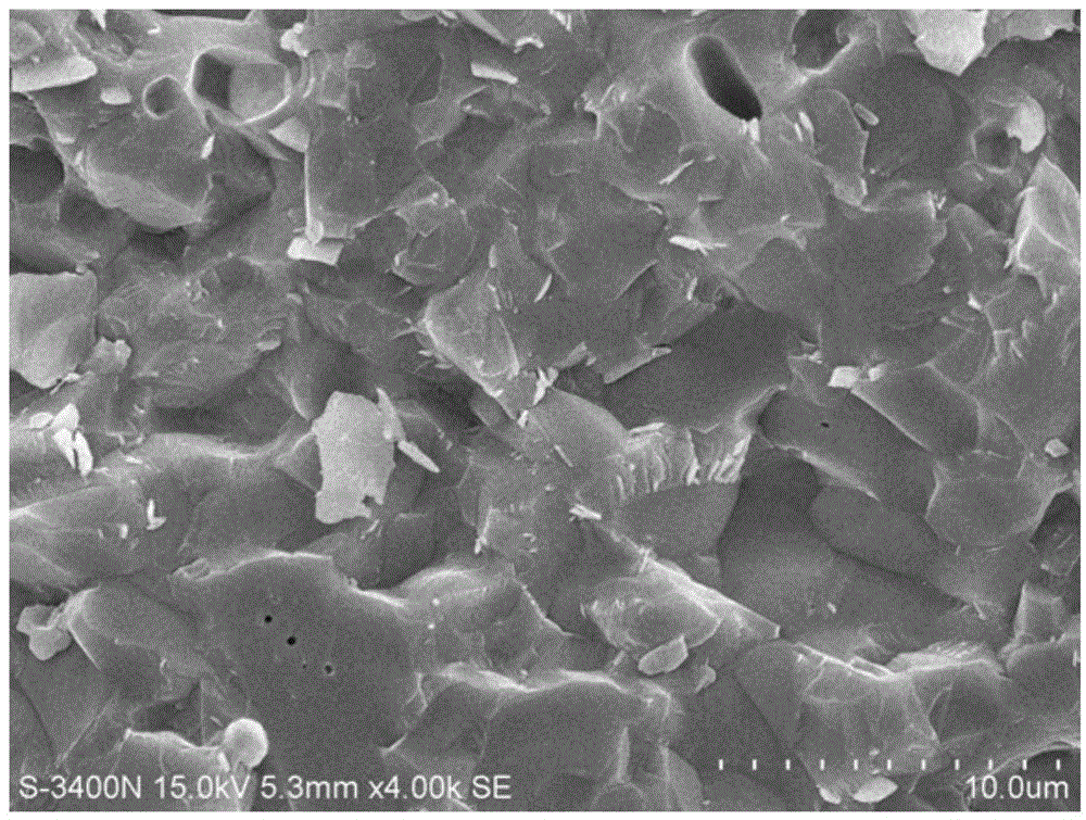 Radiation shielding electronic packaging material and preparation method for same