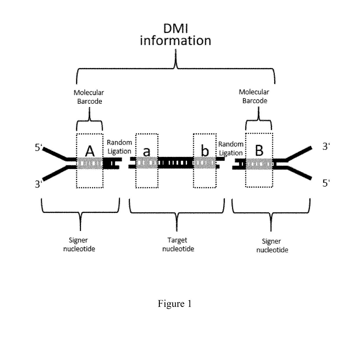 Methods of reducing errors in deep sequencing