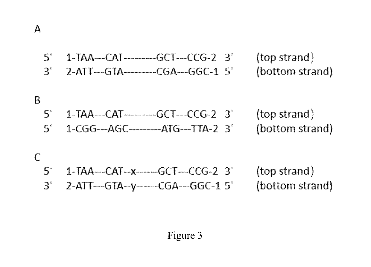 Methods of reducing errors in deep sequencing