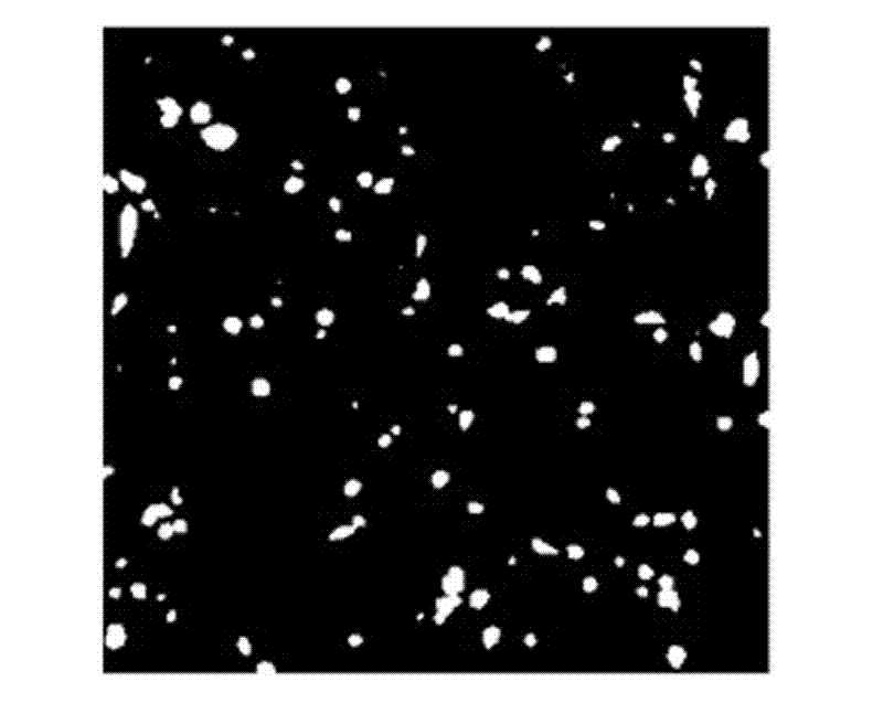 shRNA for specifically reducing human Aurora-A gene expression and application thereof