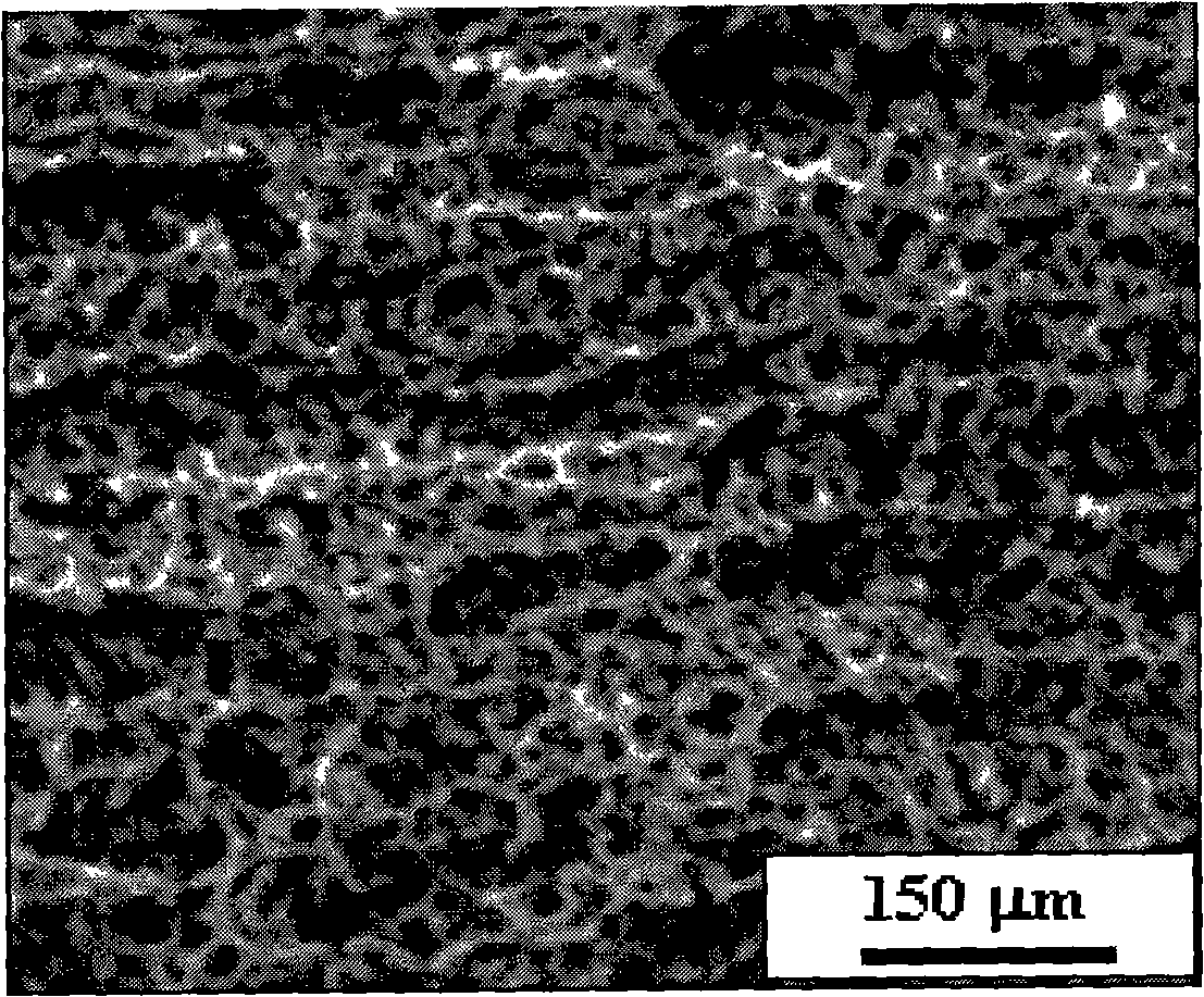 Preparation of zircite porous ceramic