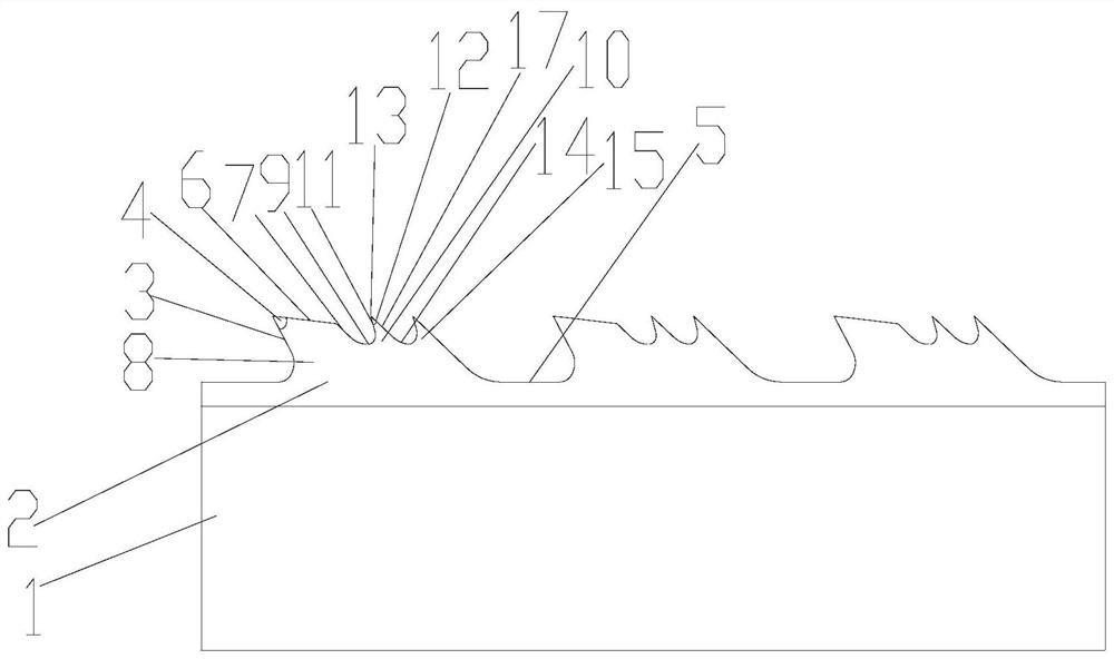 Single-tooth-body multi-tooth-tip cylinder card clothing and application thereof