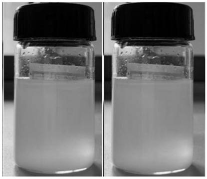 Organic modification method for improving dispersity of graphite phase carbon nitride in lubricating oil