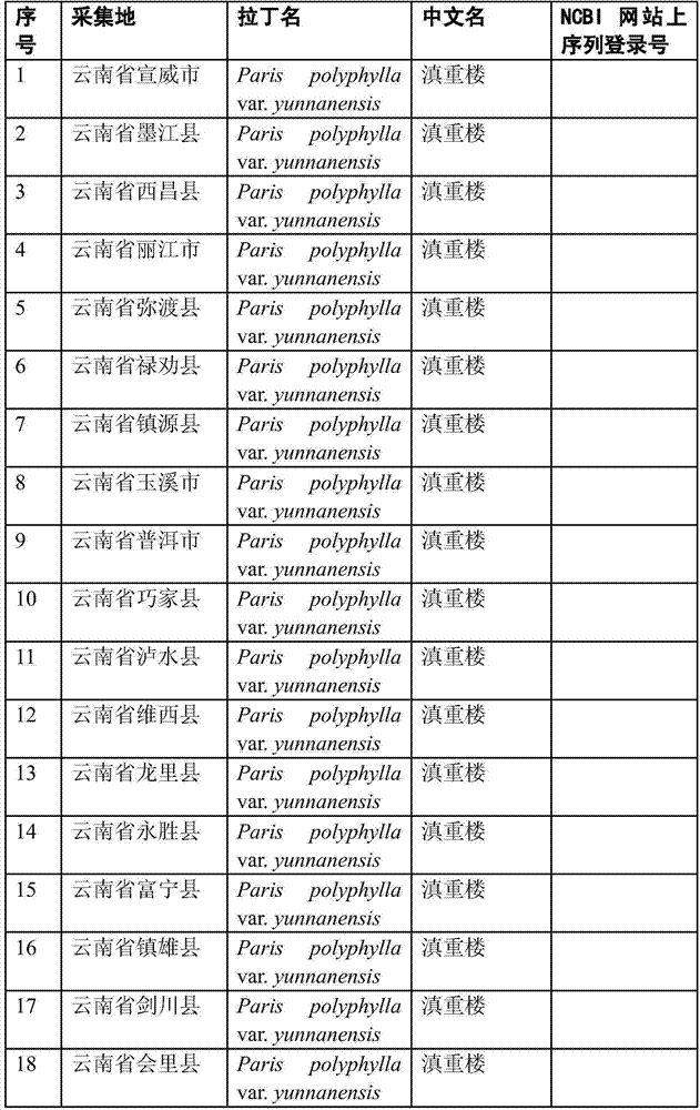 Molecular identification method of Yunnan manyleaf Paris rhizome