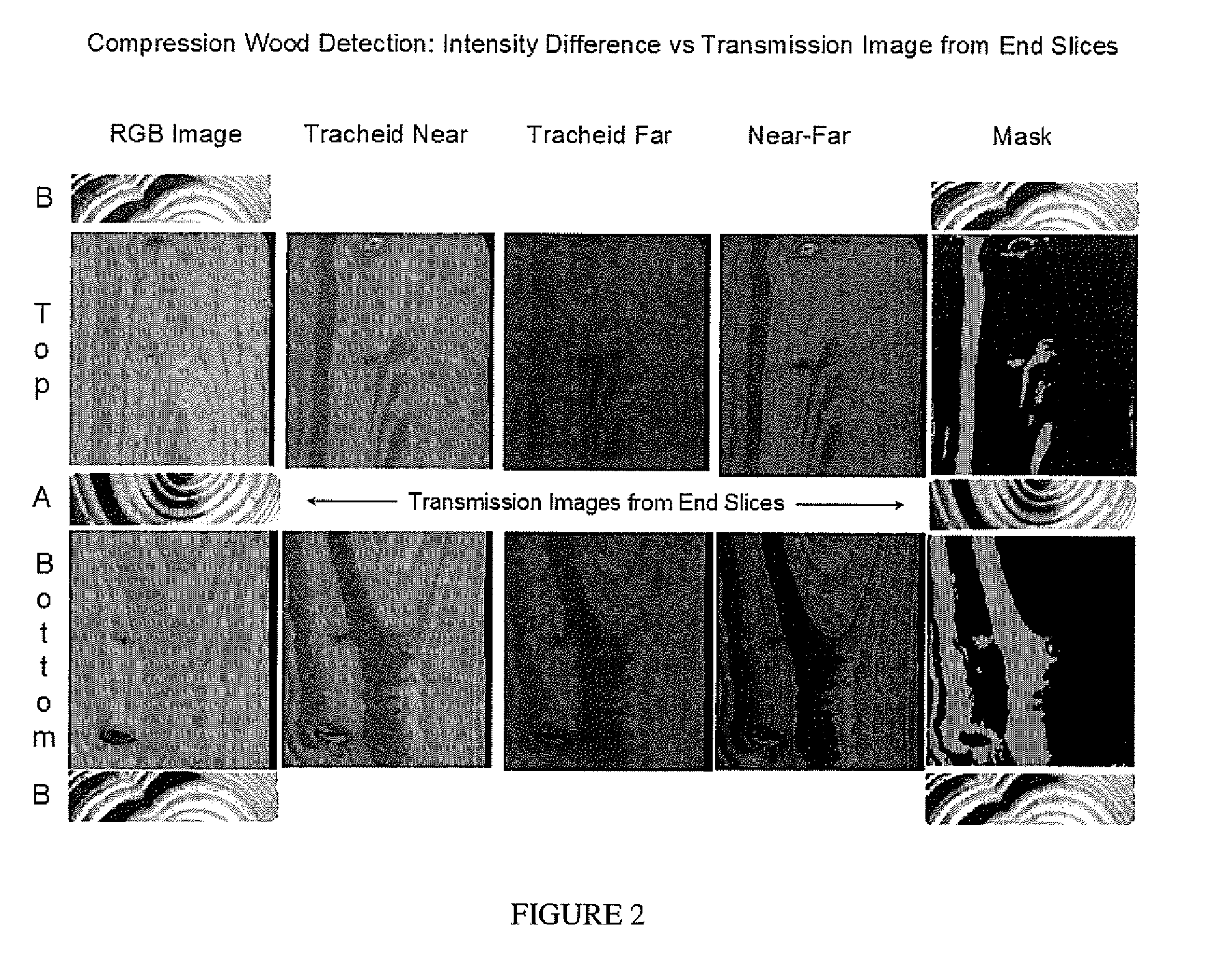 Methods for Detecting Pitch in Lumber