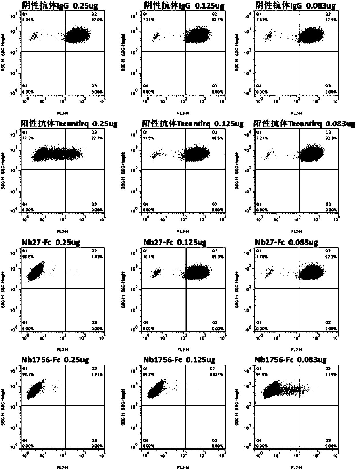 Blocking type PD-L1 camel-source single-domain antibody and use thereof